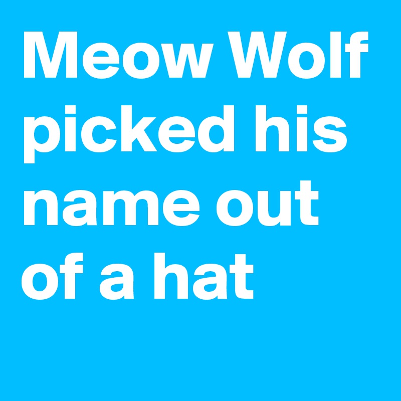 Meow Wolf picked his name out of a hat