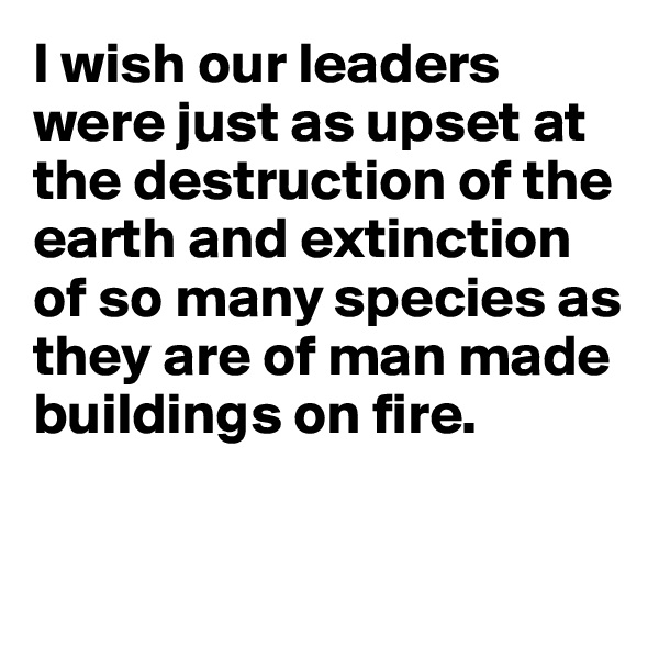 I wish our leaders were just as upset at the destruction of the earth and extinction of so many species as they are of man made buildings on fire.


