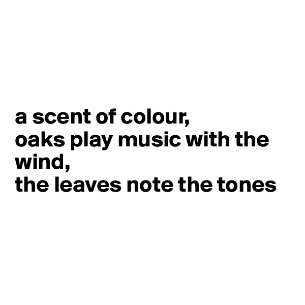 



a scent of colour,
oaks play music with the wind,
the leaves note the tones



