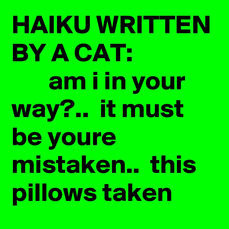 HAIKU WRITTEN BY A CAT:                        am i in your way?..  it must be youre mistaken..  this pillows taken