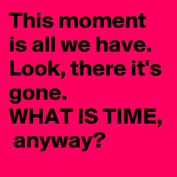 This moment is all we have.  Look, there it's gone.  
WHAT IS TIME,  anyway? 