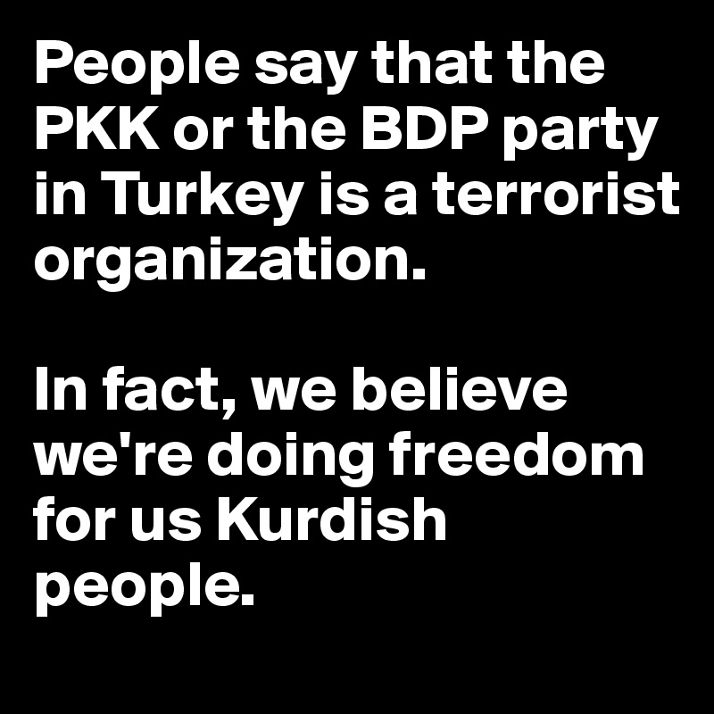 People say that the PKK or the BDP party in Turkey is a terrorist organization.

In fact, we believe we're doing freedom for us Kurdish people.