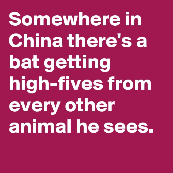 Somewhere in China there's a bat getting high-fives from every other animal he sees.