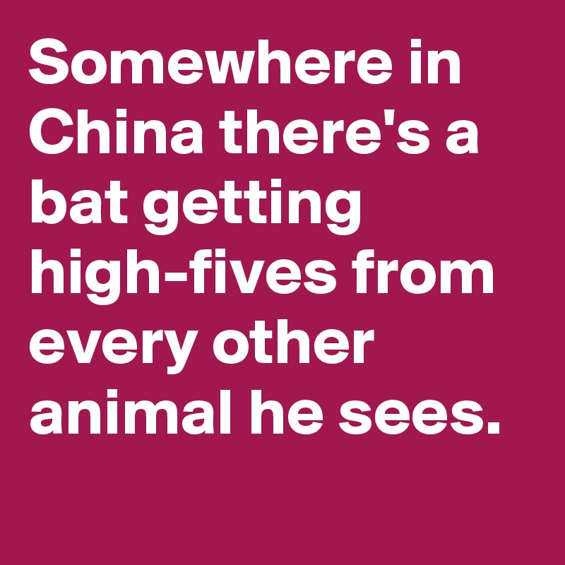 Somewhere in China there's a bat getting high-fives from every other animal he sees.