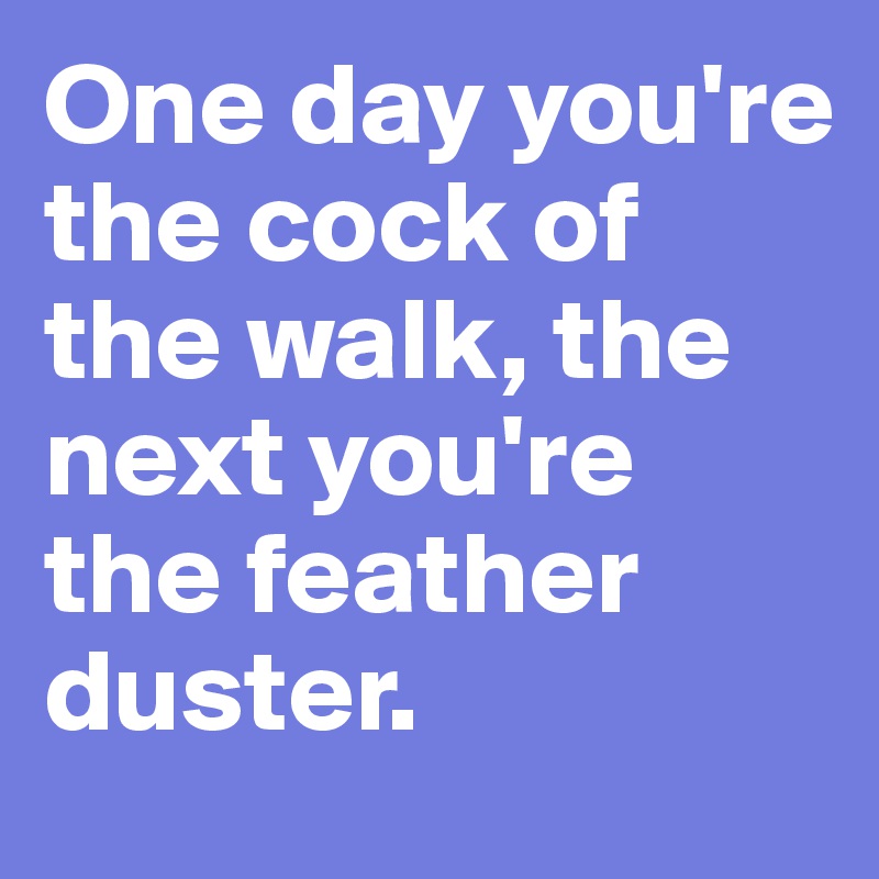 One day you're the cock of the walk, the next you're the feather duster. 