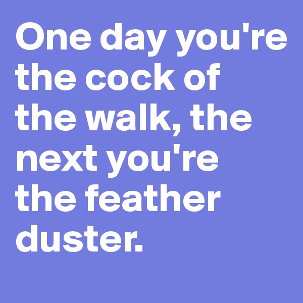 One day you're the cock of the walk, the next you're the feather duster. 