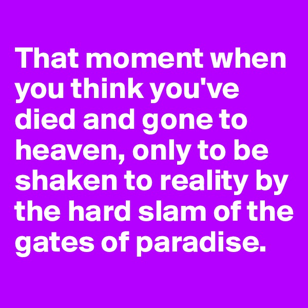 
That moment when you think you've died and gone to heaven, only to be shaken to reality by the hard slam of the gates of paradise. 