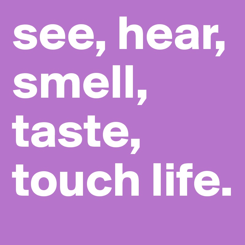 see, hear, smell, taste, touch life.