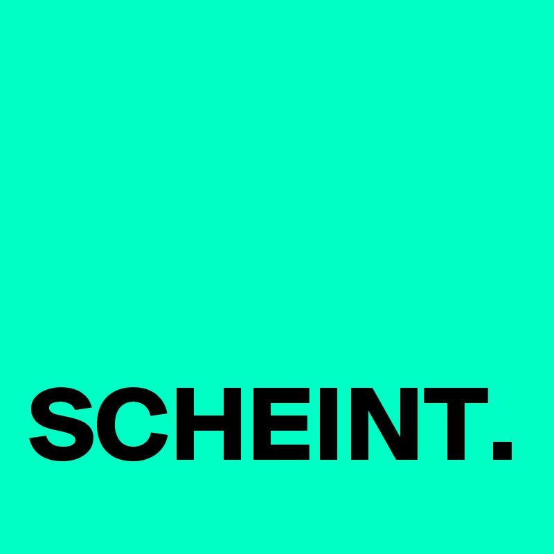 


SCHEINT.