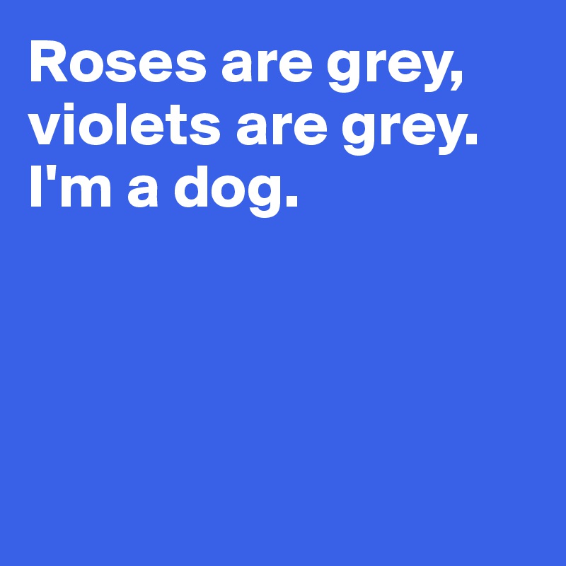 Roses are grey,
violets are grey. 
I'm a dog. 





