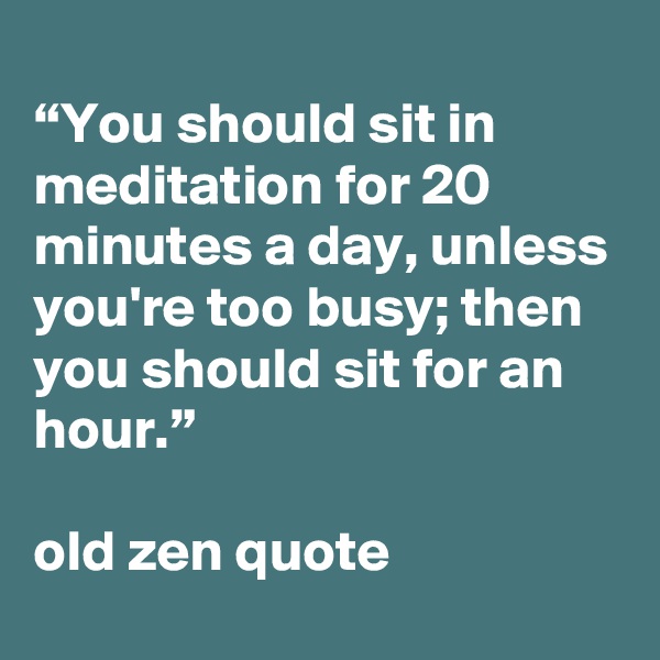 
“You should sit in meditation for 20 minutes a day, unless you're too busy; then you should sit for an hour.”

old zen quote