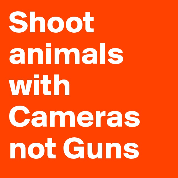 Shoot animals with Cameras not Guns