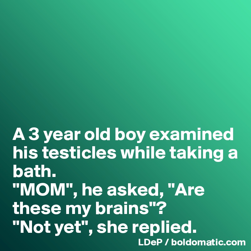 





A 3 year old boy examined his testicles while taking a bath. 
"MOM", he asked, "Are these my brains"?
"Not yet", she replied. 
