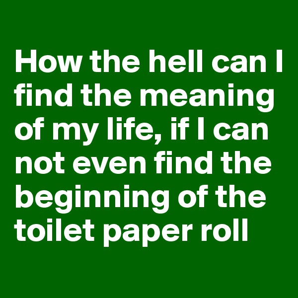 
How the hell can I find the meaning of my life, if I can not even find the beginning of the toilet paper roll