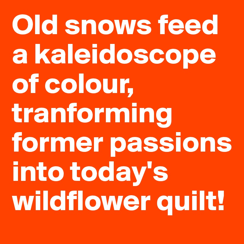 Old snows feed a kaleidoscope of colour, tranforming former passions into today's wildflower quilt!