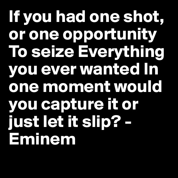 If you had one shot, or one opportunity To seize Everything you ever wanted In one moment would you capture it or just let it slip? -Eminem
