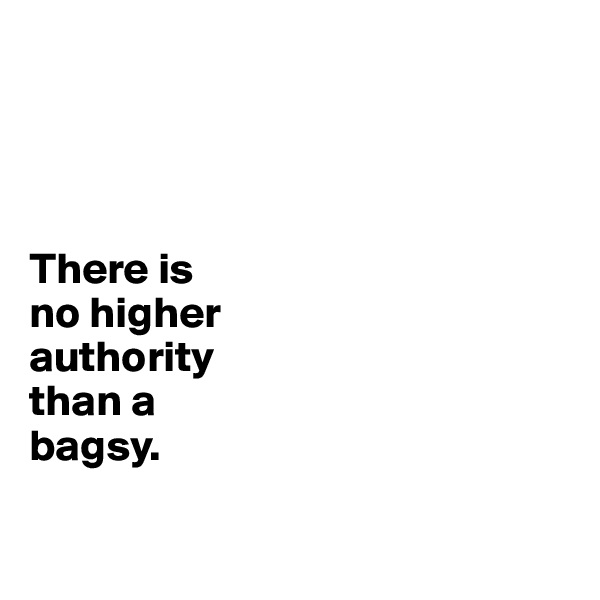 




There is 
no higher 
authority 
than a 
bagsy.

 