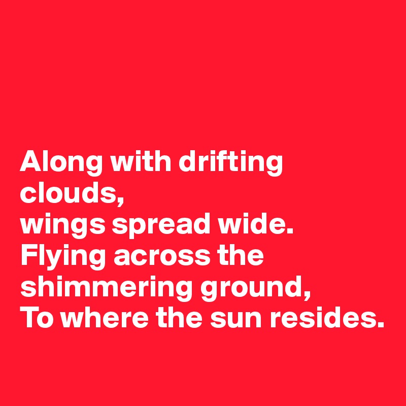 



Along with drifting  clouds, 
wings spread wide.
Flying across the shimmering ground, 
To where the sun resides.
