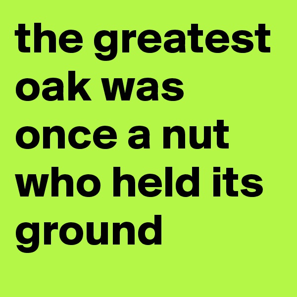 the greatest oak was once a nut who held its ground
