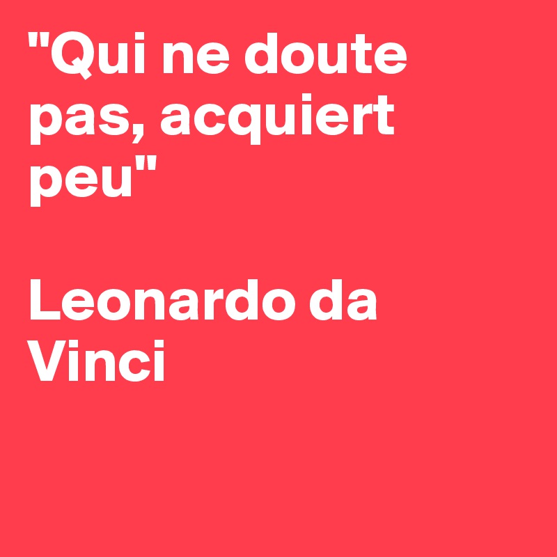 "Qui ne doute 
pas, acquiert peu"

Leonardo da Vinci


