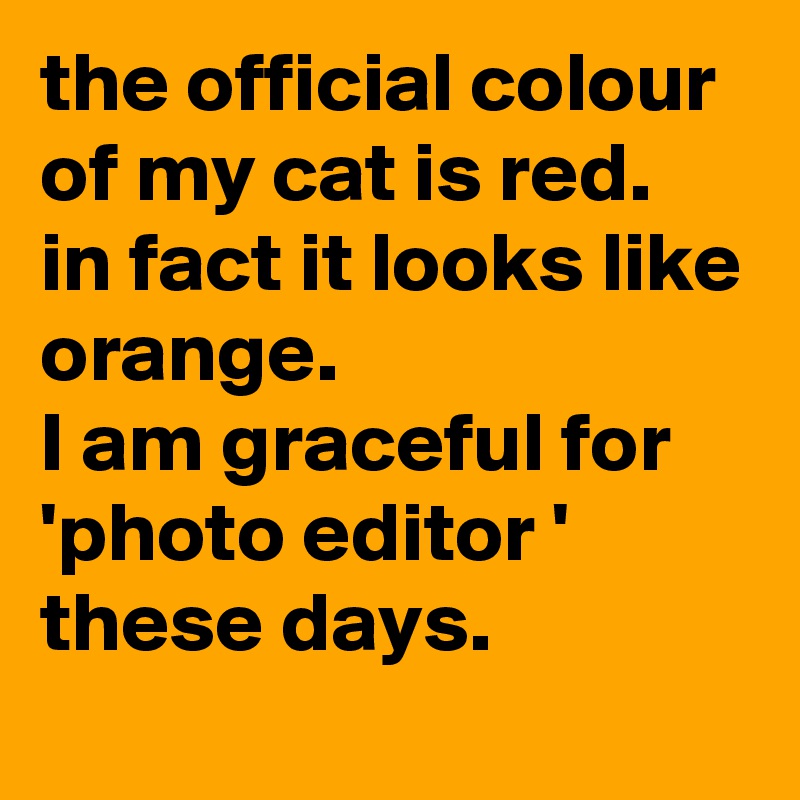 the official colour of my cat is red.
in fact it looks like orange. 
I am graceful for 'photo editor ' these days. 
