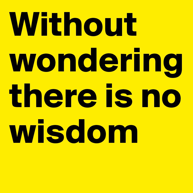 Without wondering there is no wisdom