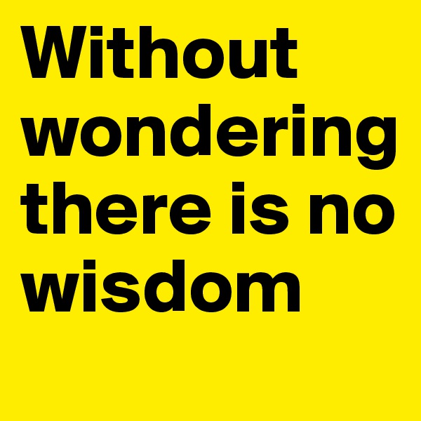 Without wondering there is no wisdom