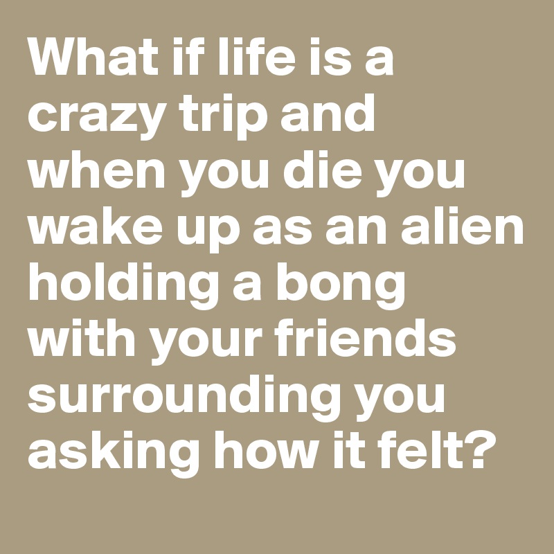 What if life is a crazy trip and when you die you wake up as an alien holding a bong with your friends surrounding you asking how it felt? 