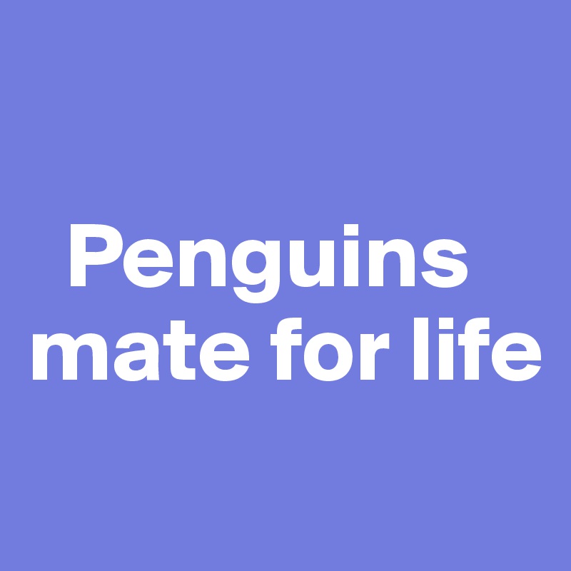 

  Penguins mate for life 
