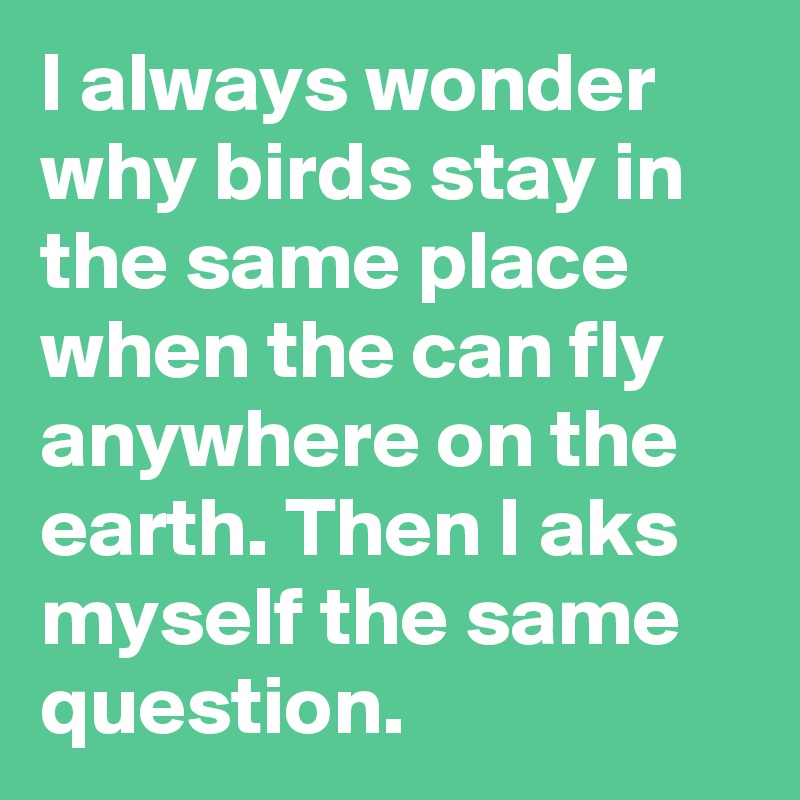 I always wonder why birds stay in the same place when the can fly anywhere on the earth. Then I aks myself the same question.