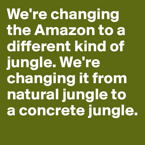 We're changing the Amazon to a different kind of jungle. We're changing it from natural jungle to a concrete jungle.