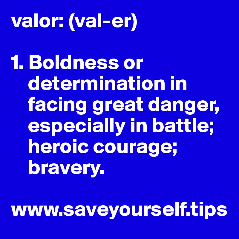 valor: (val-er)

1. Boldness or 
    determination in 
    facing great danger, 
    especially in battle; 
    heroic courage; 
    bravery.

www.saveyourself.tips