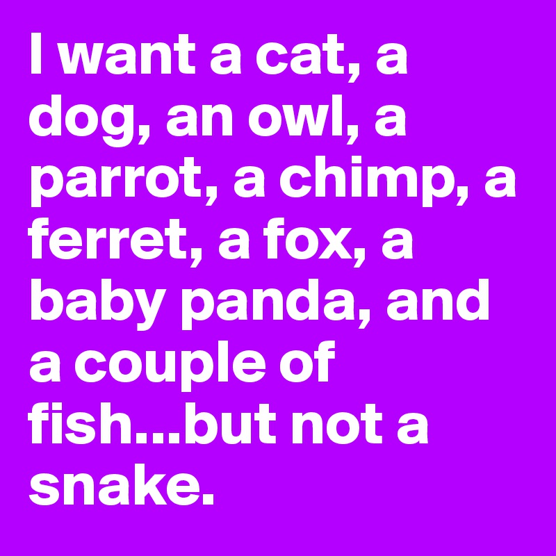 I want a cat, a dog, an owl, a parrot, a chimp, a ferret, a fox, a baby panda, and a couple of fish...but not a snake.