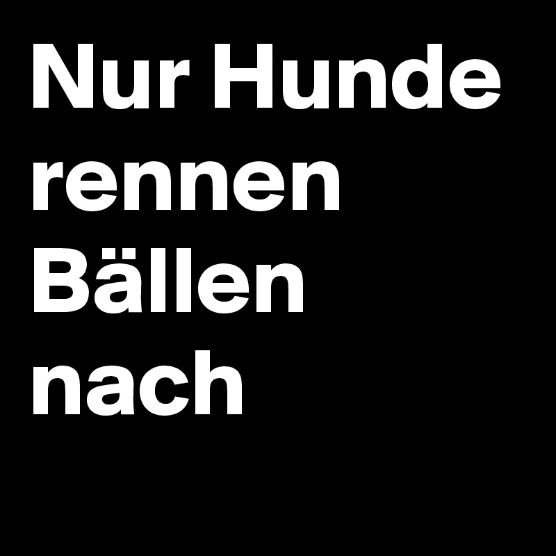 Nur Hunde rennen Bällen nach