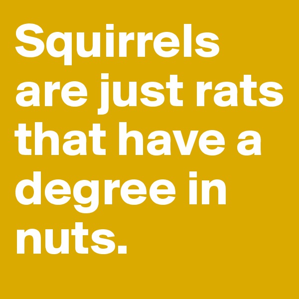 Squirrels are just rats that have a degree in nuts.