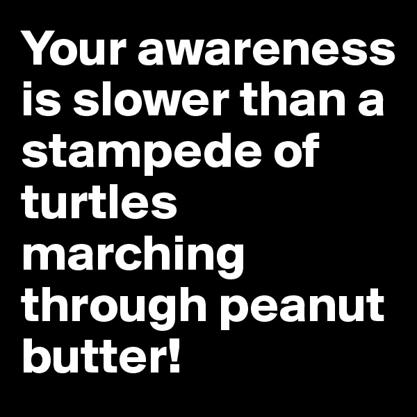 Your awareness is slower than a stampede of turtles marching through peanut butter!