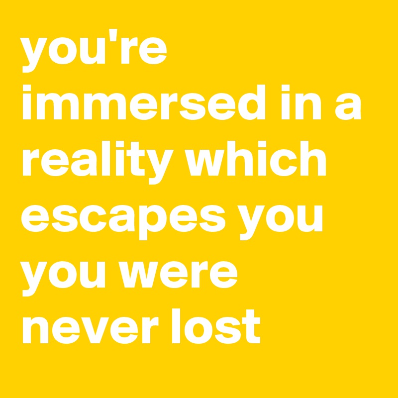 you're immersed in a reality which escapes you you were never lost