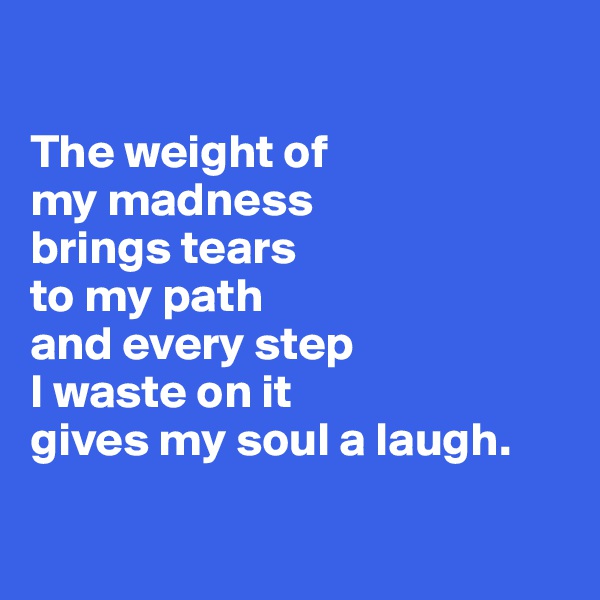 

The weight of 
my madness 
brings tears 
to my path 
and every step
I waste on it 
gives my soul a laugh.

