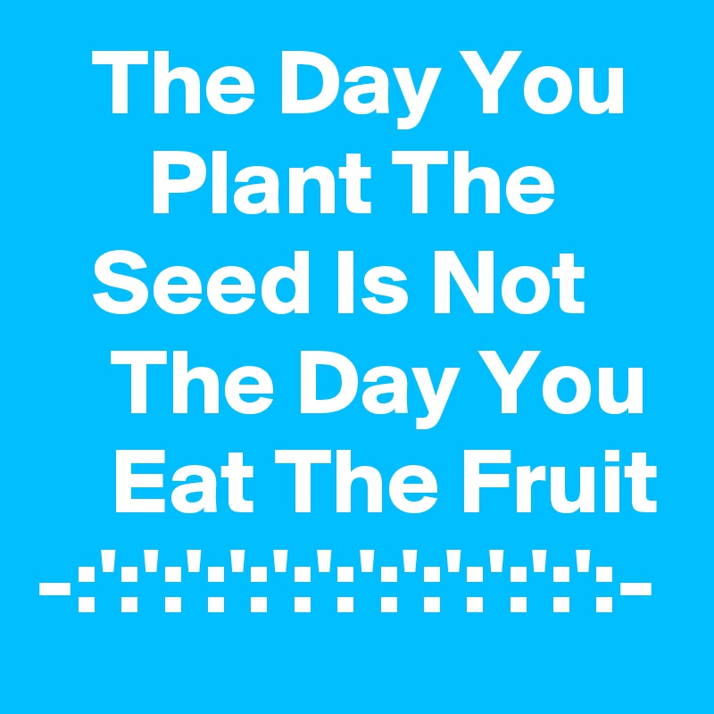    The Day You         Plant The         Seed Is Not        The Day You      Eat The Fruit
-:':':':':':':':':':':':':- 