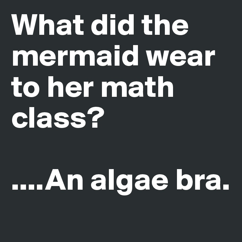 What did the mermaid wear to her math class? 

....An algae bra. 