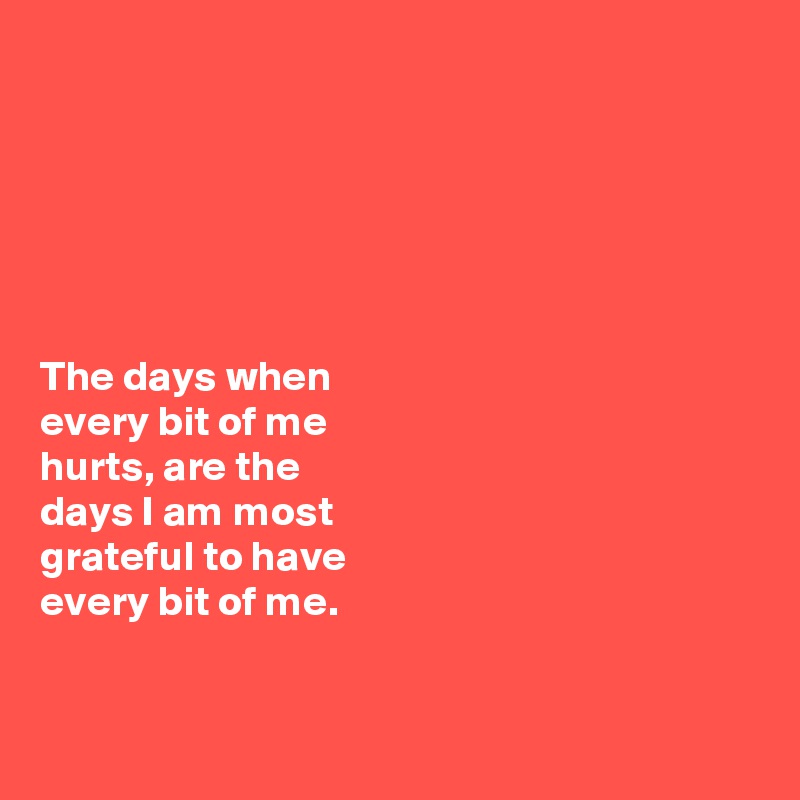 






The days when 
every bit of me 
hurts, are the 
days I am most 
grateful to have 
every bit of me. 



