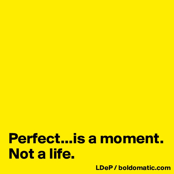 







Perfect...is a moment. Not a life. 