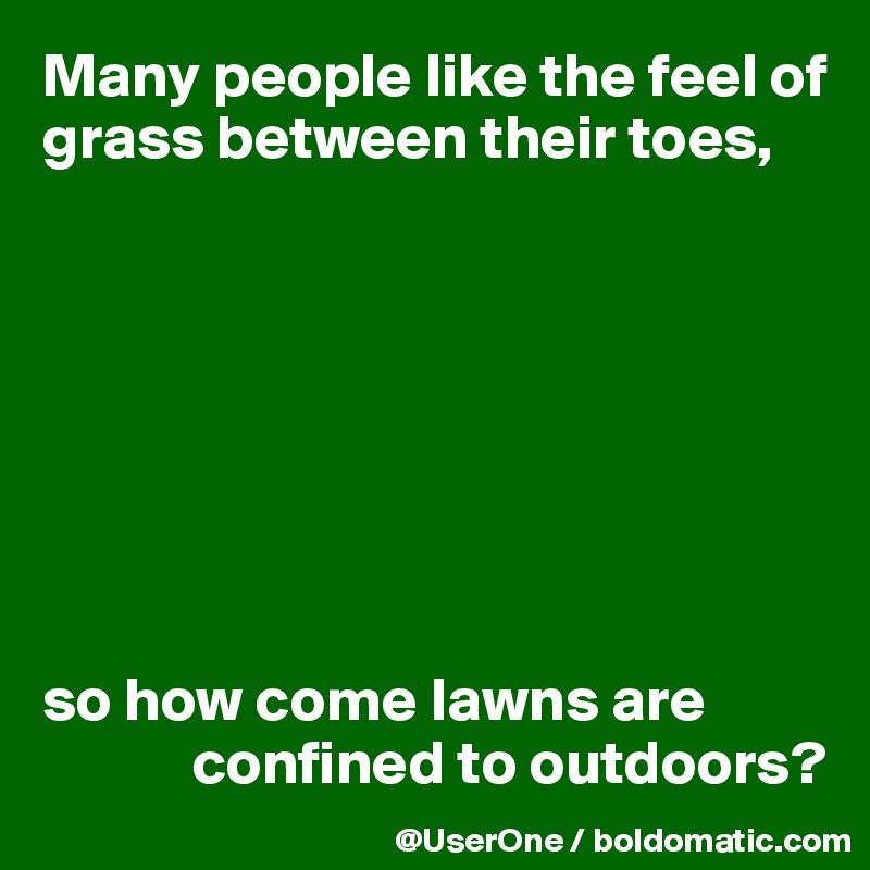 Many people like the feel of grass between their toes,








so how come lawns are 
            confined to outdoors?