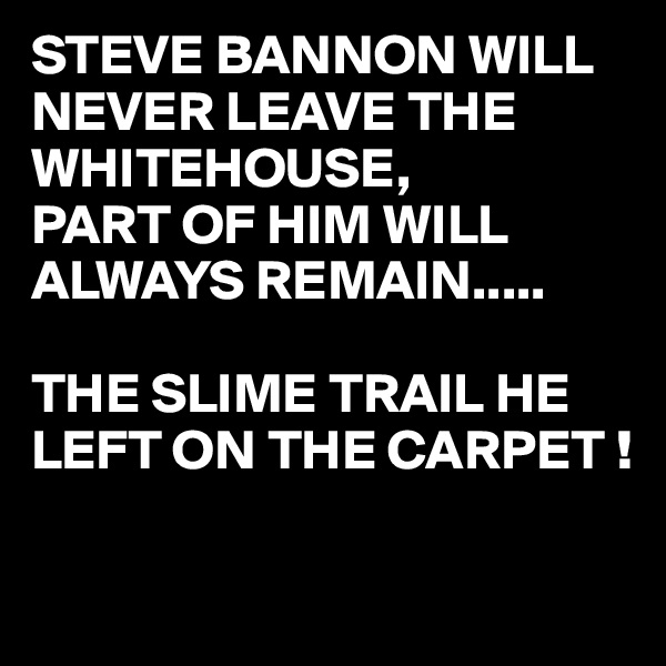 STEVE BANNON WILL NEVER LEAVE THE WHITEHOUSE, 
PART OF HIM WILL ALWAYS REMAIN.....

THE SLIME TRAIL HE LEFT ON THE CARPET !

