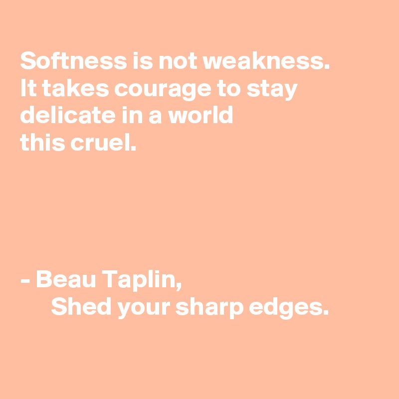 
Softness is not weakness. 
It takes courage to stay 
delicate in a world 
this cruel. 




- Beau Taplin,                                            Shed your sharp edges. 

