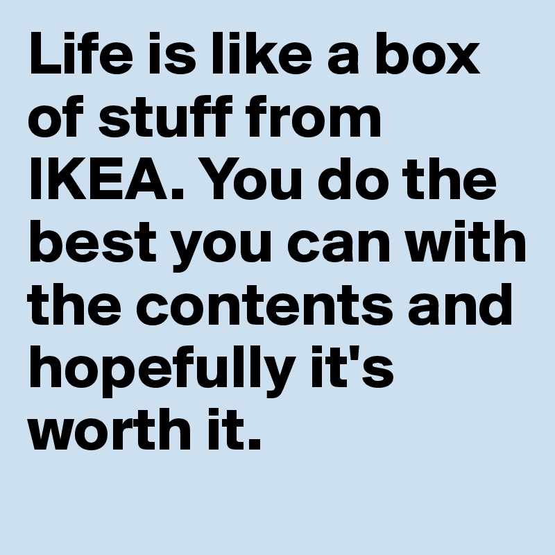 Life is like a box of stuff from IKEA. You do the best you can with the contents and hopefully it's worth it.