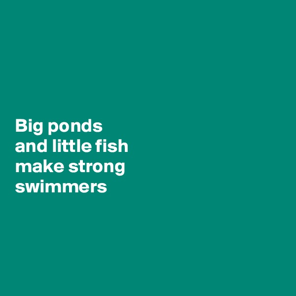 




Big ponds 
and little fish 
make strong 
swimmers



