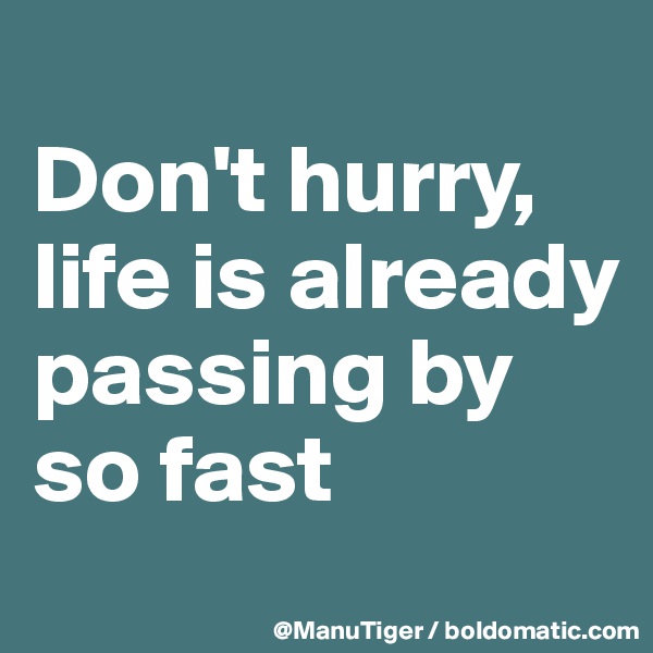 
Don't hurry,
life is already passing by so fast