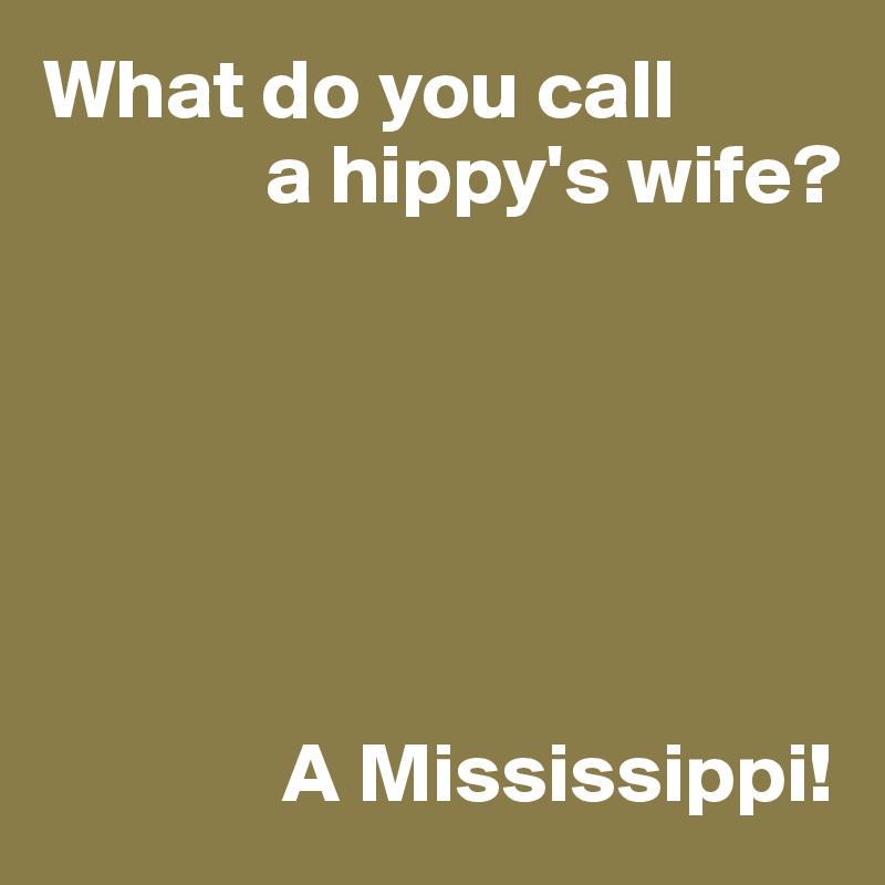 What do you call
             a hippy's wife?






              A Mississippi!