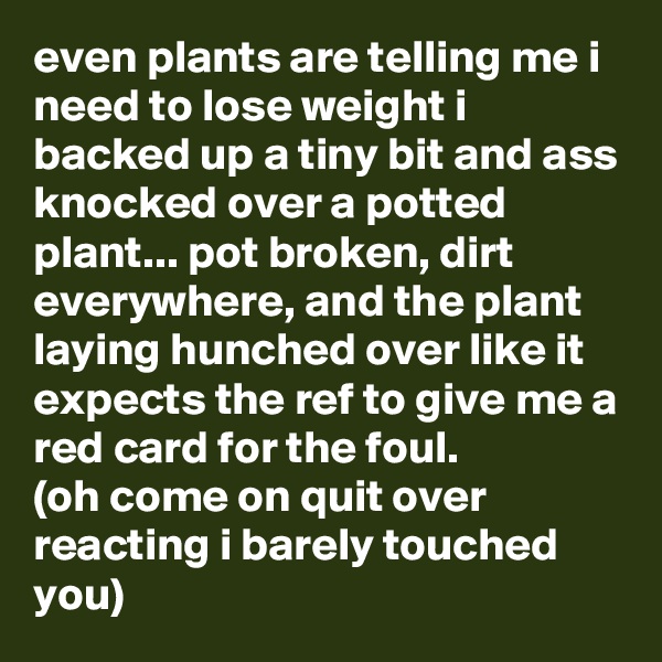 even plants are telling me i need to lose weight i backed up a tiny bit and ass knocked over a potted plant... pot broken, dirt everywhere, and the plant laying hunched over like it expects the ref to give me a red card for the foul.
(oh come on quit over reacting i barely touched you)